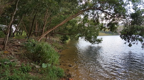 The Alps Residences Condo near Tampines Quarry