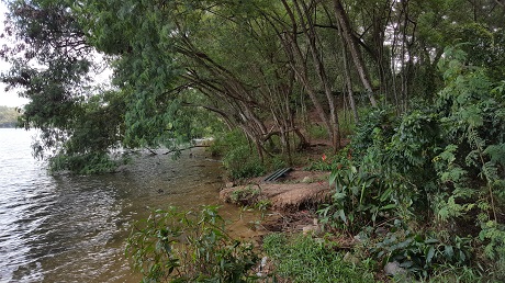The Alps Residences Condo near Tampines Quarry