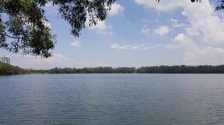 The Alps Residences Condo near Tampines Quarry