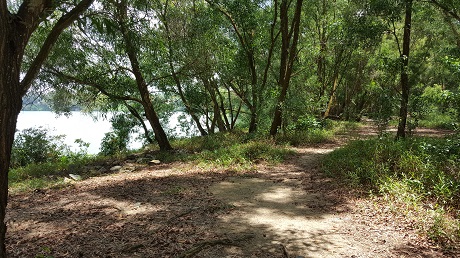 The Alps Residences Condo near Tampines Quarry