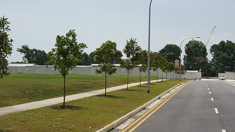 Parc Riviera Condo Site Photo by Eric Tan 97881579