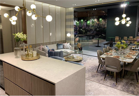 Parc Komo Showflat Photo1