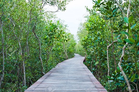 Casa Ml Mare near to Mangrove Forest Broadwalk